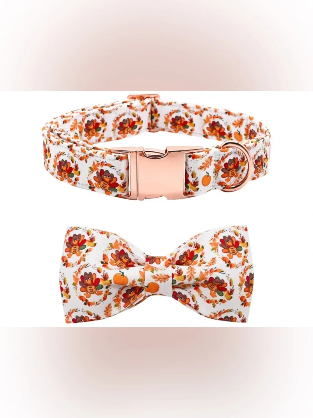 NEW-Medium Festive Fall Turkey Print Dog Collar & Bow Tie Set - White & Orange